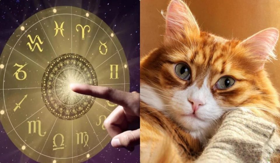 ��� ����� ���������� ���� ������� � ����� �����: ��������������� ����� ��������