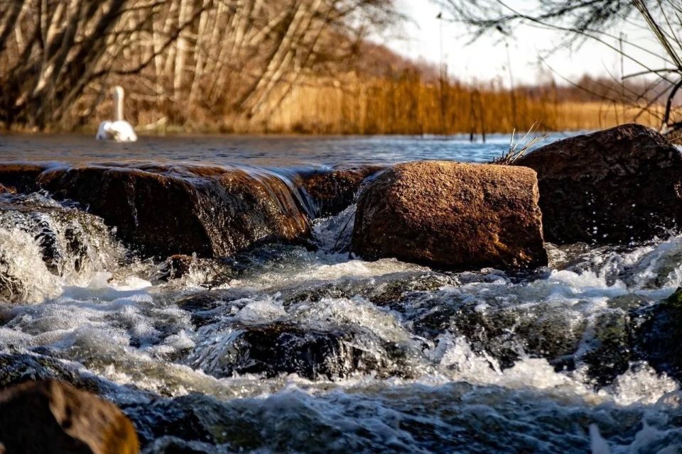 16 ������ � ��������� ������� ��������� �������� ������, ��������� ��������������� �����