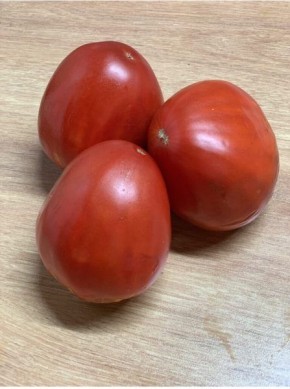 Кулак Поддубного: томат с гигантскими плодами для вашего огорода