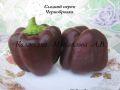 Перец Чернобровка: яркий сорт с уникальными плодами