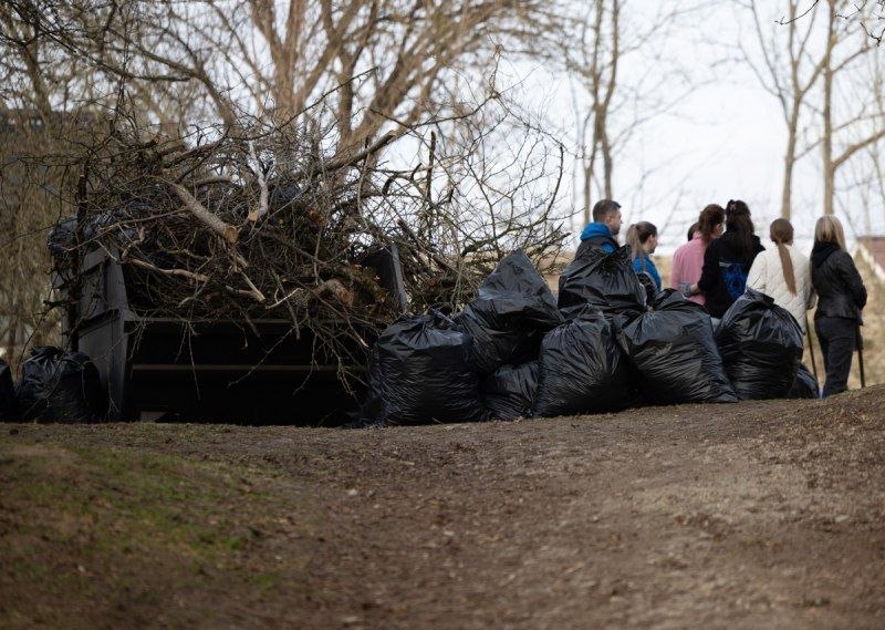 Традиционный массовый субботник прошёл на правом берегу реки Псковы у Гремячей башни – в одном из популярных мест отдыха горожан Традиционный массовый субботник прошёл на правом берегу реки Псковы у Гремячей башни – в одном из популярных мест отдыха горожан
