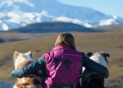 ��������� ������� ���������� �������� �� ����� �������� ��������� �����, �������� �� ������� ������� �� ������ ���������