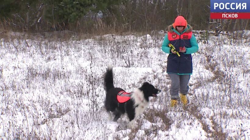 �� ���������, �� ��� ��������, �� ������: ������� ����� ������������ ��������� ����� �� ������ ���������� �� ��������