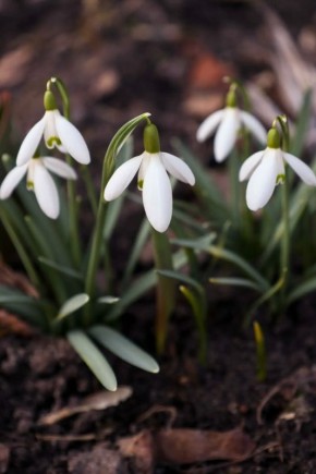 17 ������ � ��������� ������� ��������� �������� ������