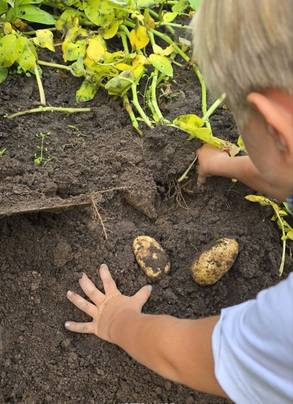 ��� �������� �������� ������ ���������? �������� ���� ��������