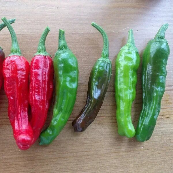 ����� ������: ���������� �������� ���� � �������������� ����������