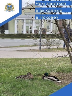 ����� �����: ������������ ������������ ��������, ��������� ������������� �� ��� ���-�� ����������!