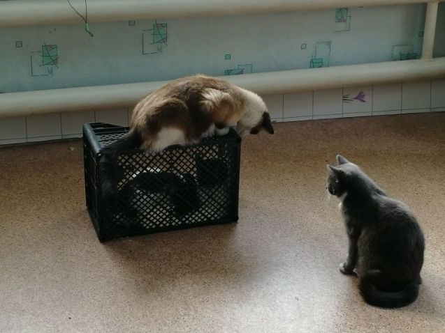 17 ���������� ���� ������������� ����������� ������ � ���� � �������