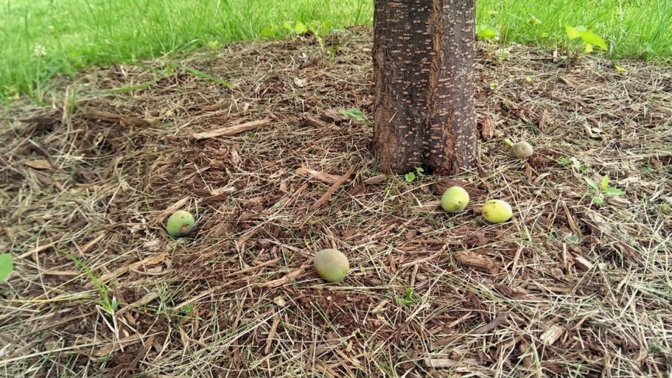 ������� ��������� ����� �� ������� ������