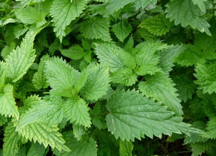 ��������� ����� � ����: ������ �������� � �������