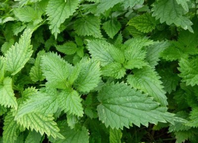 ��������� ����� � ����: ������ �������� � �������