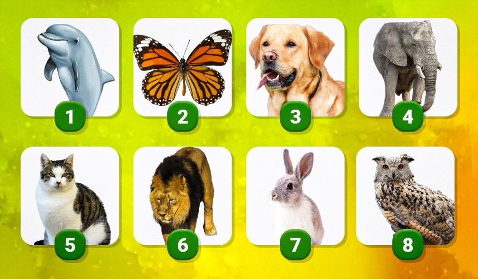 ��������������� ���� � ��������� ��������� �������� ������������ � ����