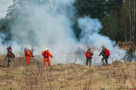 ������ �� ���� ���! � ��� ������ ��� �����