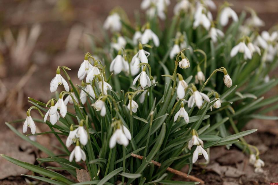 �� +14 � ��� ������� ��������� � ��������� ������� 20 ������