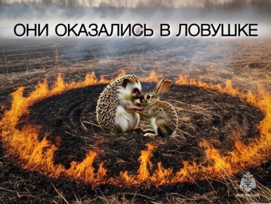 ���� ����� � �� ����������� �����������