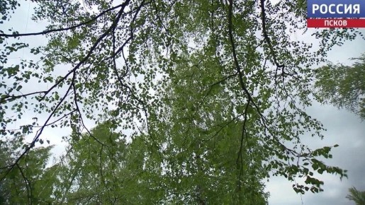 "������������� ������������": ���� ����������, ��� ���������� �������� ����� ��� �������