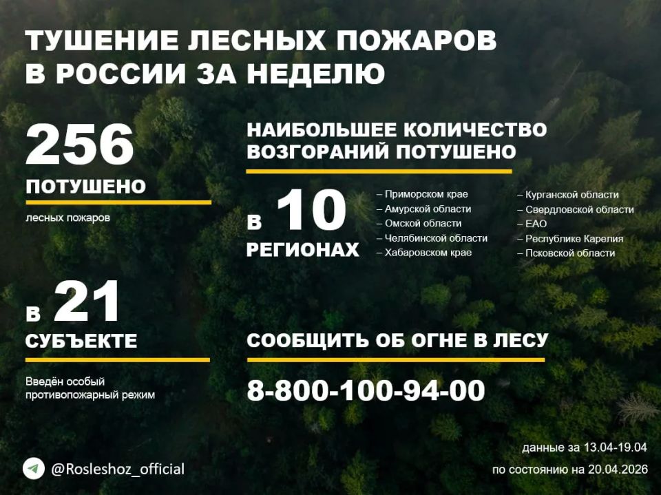 �� ������ ��������������, ���������������� ����������� ����������, �� ��������� ������ �������� 256 ������ ������� � 23 �������� ������