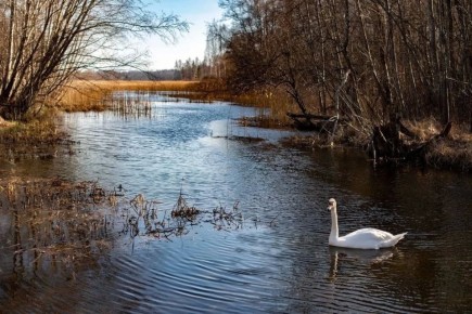 21 ������ � ��������� ������� ��������� ���������� ����������, ��� �������