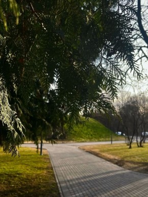 ����� ����� �����: ��������� ����, ������ ������, ������ ������