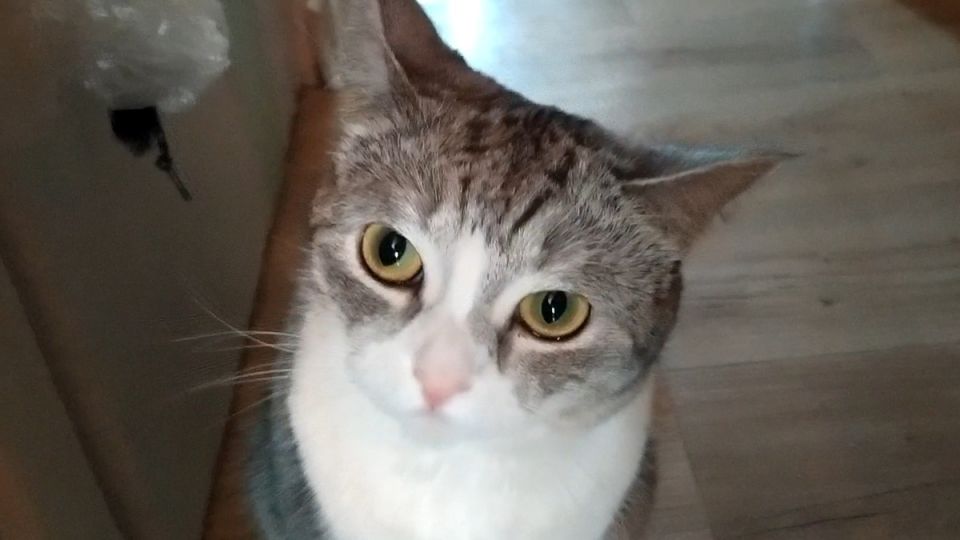 ��� ���� ������� ���� ����� �� ��������