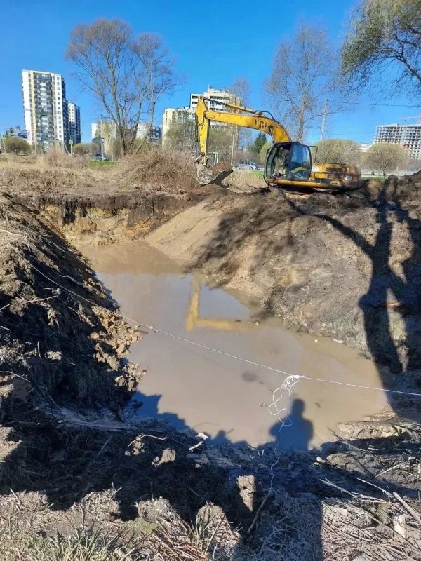 ����� �����: � ������ �� ����������� ���� ������� � ��������� ��������� ���� �������� �������� ������