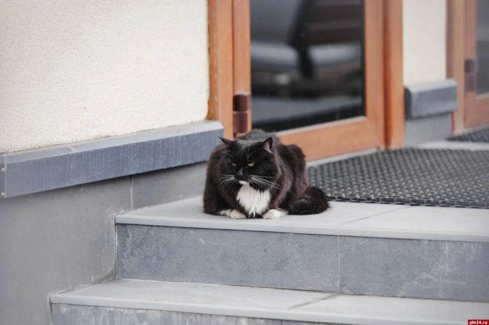 �� +18 ���������� ������ ���� 22 ������ � ��������� �������