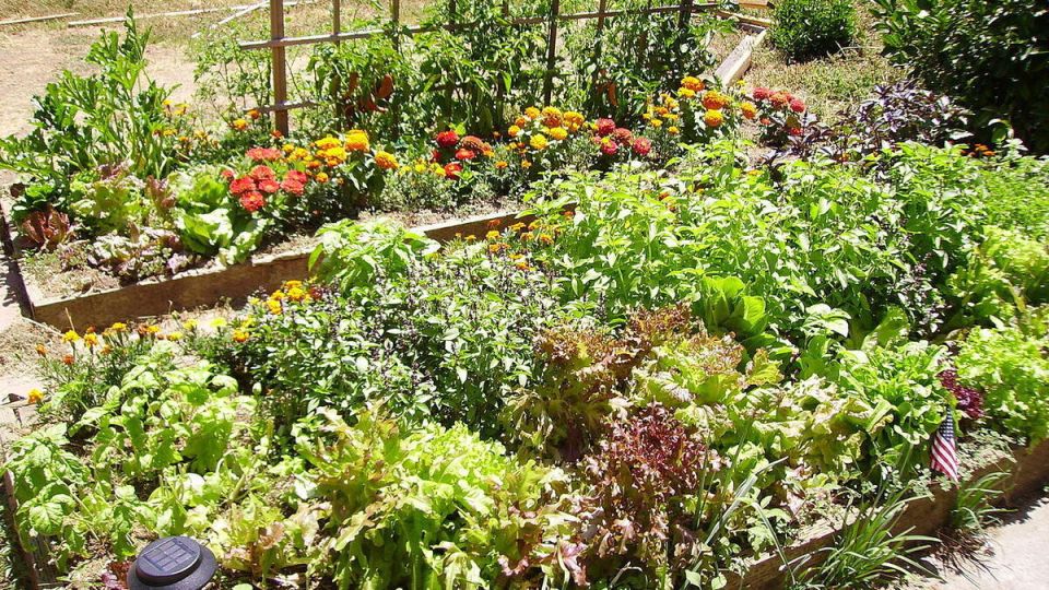 ������� �������������� �������� �� �������