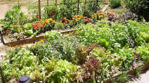 ������� �������������� �������� �� �������