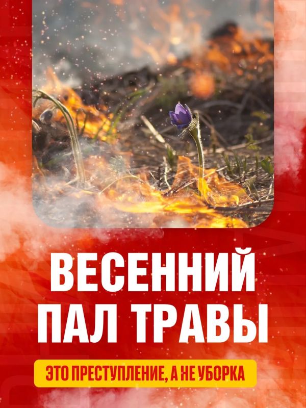 ������ ������ ������� ������� � ����������� �� ����� ����� ����� �������, �� �� ������, �������� � ��������� �