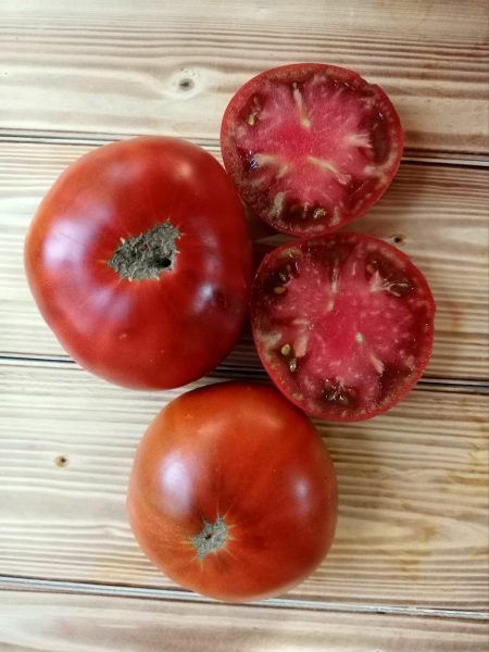 ����� ���� ���������: ���������� �������� � ���������� ������ � ������� �������