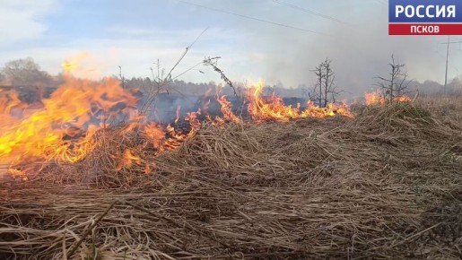 ����������� ������ � ������ �� ������