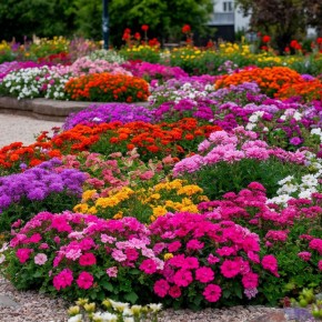 �������� ������: ����, ������� ���������� ��� ���