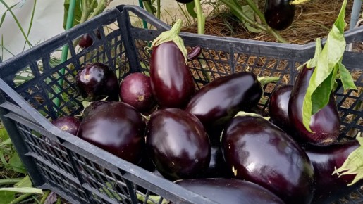 ��� �������� ��������� � ����: ������������� ������ � �����������