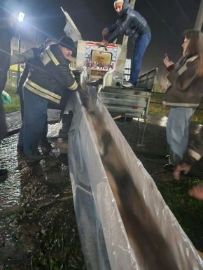 **� ��������������� ������ �� ������ ���� � ���� ����� ����� � ��� ������ ������ ����� � ������������.**