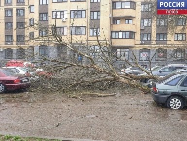 ����� 340 �������� ������ � ����� ��������������� � ��������� �������