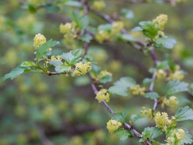 ������� ������ ���������: ������ ���� ��������, �� ������ ���?