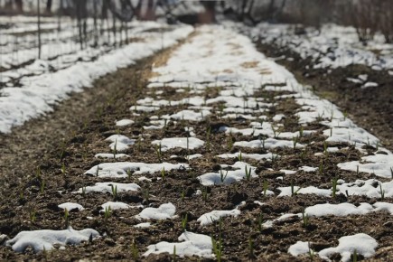 ��������� �� �����: ����� �� ���������?