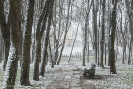 28 ������ � ��������� ������� ��������� �������� ������ � ������������