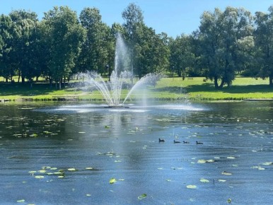 1 ��� � ����� ������ �������� � ������