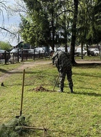 Сотрудники Невельской больницы высадили сосны в преддверии Дня Победы Сотрудники Невельской больницы высадили сосны в преддверии Дня Победы