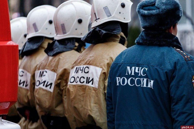 33 человека погибли при пожарах в Псковской области за 4 месяца