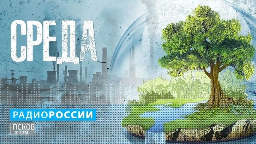 Среда. Выпуск 06.05.2026. Узнать больше о растениях, животных, о том, как сохранять баланс между природой и человеком, можно, отправляясь в поля, в леса и даже в болота по разным маршрутам и экотропам