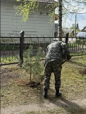 Сотрудники Невельской больницы высадили сосны в преддверии Дня Победы Сотрудники Невельской больницы высадили сосны в преддверии Дня Победы