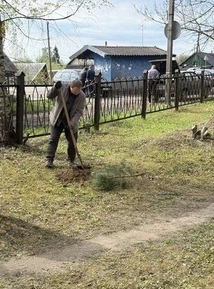Сотрудники Невельской больницы высадили сосны в преддверии Дня Победы