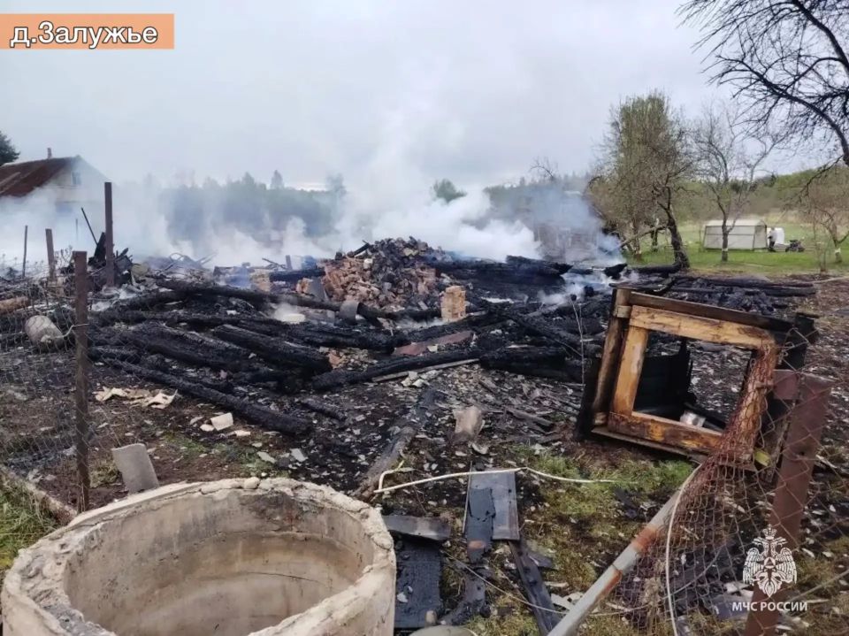 #ОперативноЗаСутки. За минувшие дежурные сутки пожарно-спасательные подразделения Псковской области реагировали на 2 ландшафтных пожара площадью 1,5 га и 2 техногенных возгорания