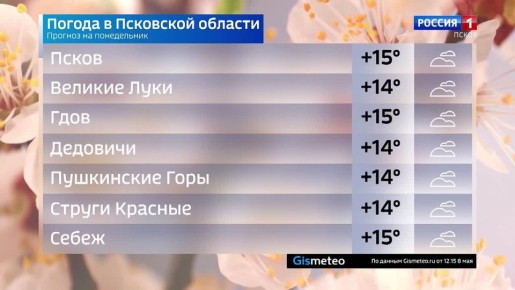 Прогноз погоды в Псковской области на 11 мая