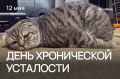 Сегодня отмечается День хронической усталости