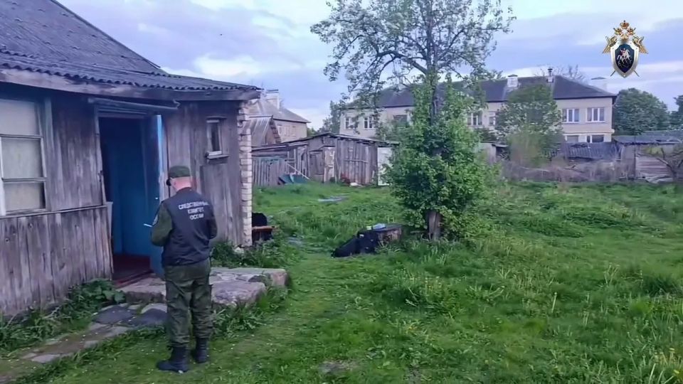 Житель Дедовичей подозревается в причинении смертельных травм своему отцу