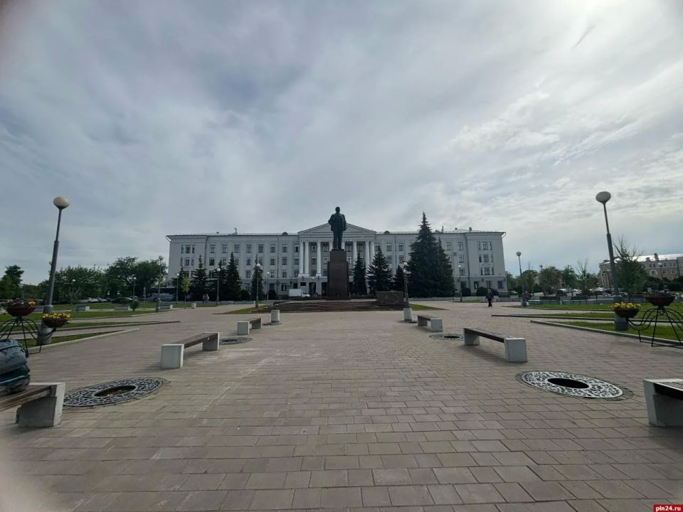 На площади Ленина в Пскове выкопали засохшие клены