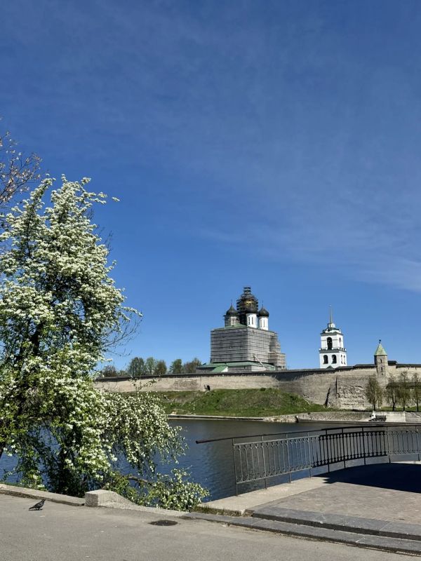 Весна в разгаре. Город в цвету — и мы не можем не делиться этой красотой!